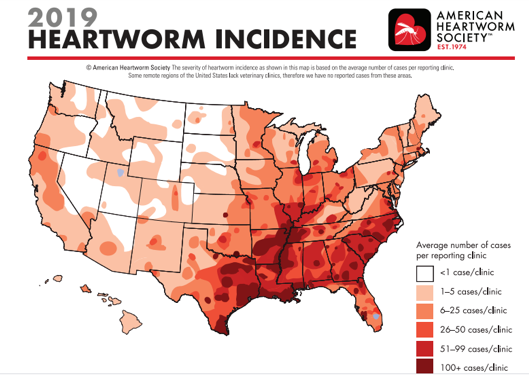 2019 Heartworm Incidence