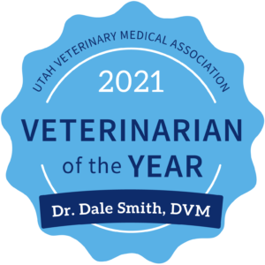Vet of the Year Seal 2021
